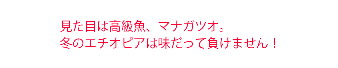 見た目は高級魚、マナガツオ。冬のエチオピアは味だって負けていません！