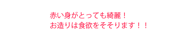 赤い身がとっても綺麗！お造りは食欲をそそります！！