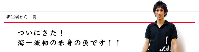 担当者から一言：都会の市場にはまず入らない、めずらしく美味しい魚です！