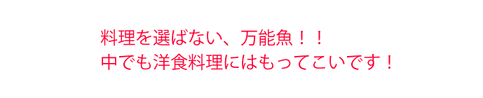 料理を選ばない、万能魚！！中でも洋食料理にはもってこいです！