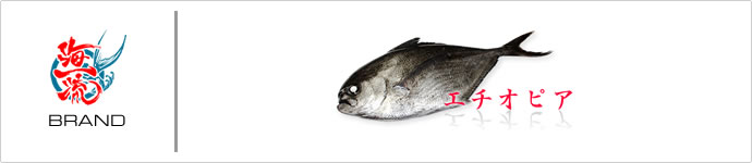 海一流：ブランド認定魚　エチオピア