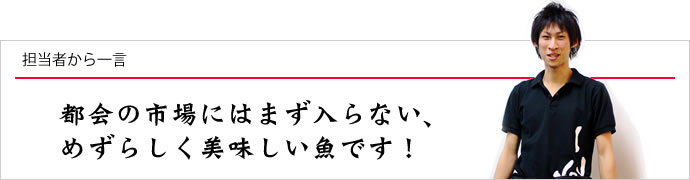 担当者から一言:都会の市場にはまず入らない、めずらしく美味しい魚です!