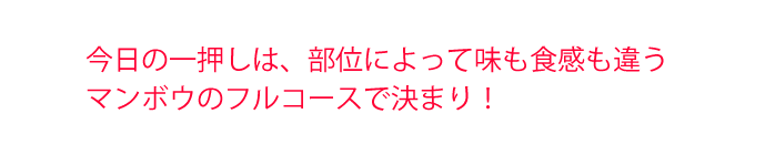 今日の一押しは、部位によって味も食感も違うマンボウのフルコースで決まり！