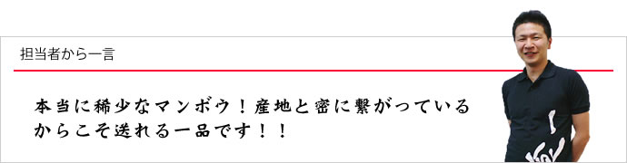 担当者から一言：本当に稀少なマンボウ！産地と密に繋がっているからこそ送れる一品です！！