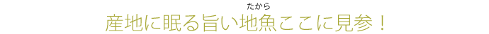 産地に眠る旨い地魚ここに見参！