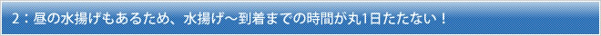 2：昼の水揚げもあるため、水揚げ～到着までの時間が丸1日たたない！