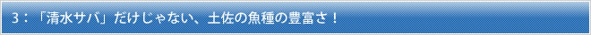 3：「清水サバ」だけじゃない、土佐の魚種の豊富さ！