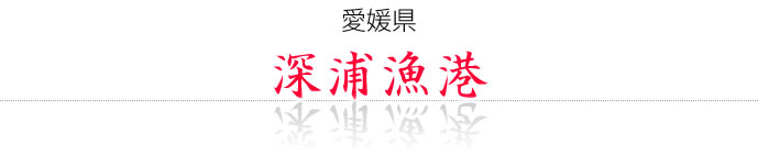 愛媛県：深浦漁港