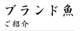 ブランド魚ご紹介